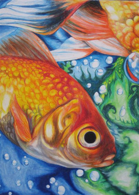 See more ideas about color pencil art, colored pencils, pencil. Goldfishies-Pencil Crayon by Ashamawee on DeviantArt