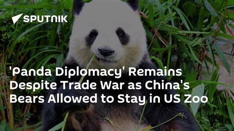 Panda Diplomacy Remains Despite Trade War As Chinas Bears Allowed To