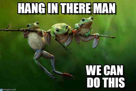 20 Hang In There Meme To Motivate You - SayingImages.com