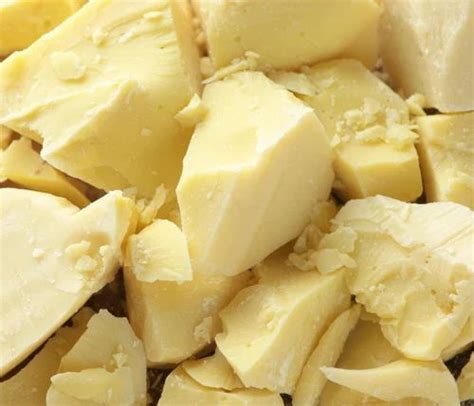 Shea Butter Raw Shea Butter Latest Price Manufacturers And Suppliers