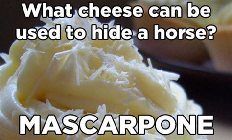 15 Cheese Puns That Are Really Gouda Lets Eat Cake