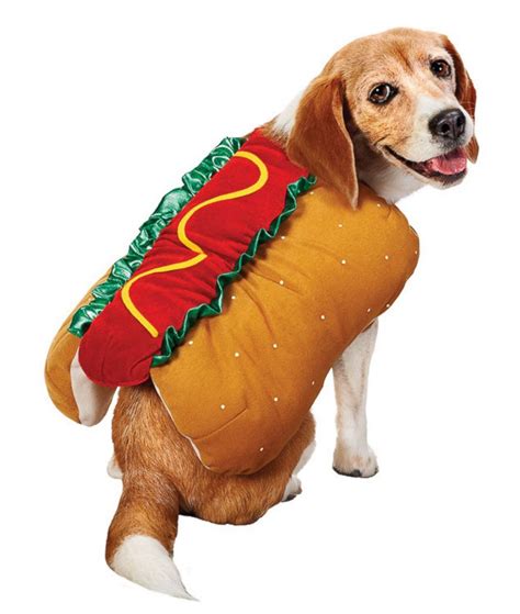 Hot Dog Picture Halloween Costumes For Pets Abc News