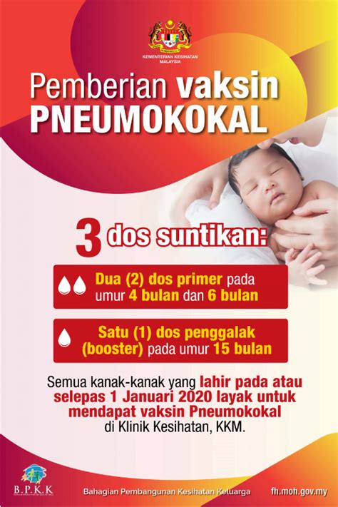 The recommended intervals between pneumococcal vaccines remain unchanged for adults without an immunocompromising condition, csf leak, or cochlear implant (>1 year between pneumococcal. Suntikan Pneumokokal Percuma Mulai 1 Disember Untuk Bayi ...