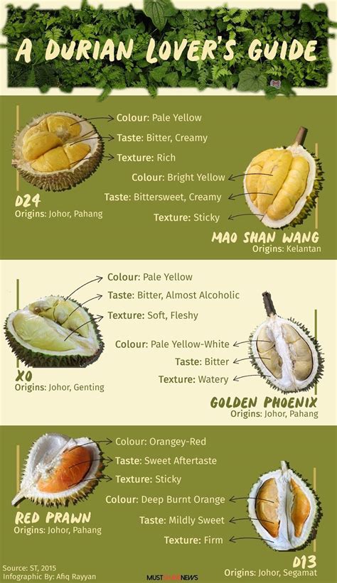 You can identify a durian by the colour of its. Durian lovers guide. Credits to Mustsharenews. : singapore