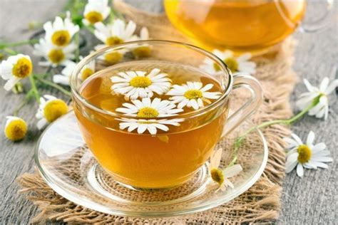 Papatya çayı Nasıl Yapılır Papatya çayının Faydaları Ve Zararları