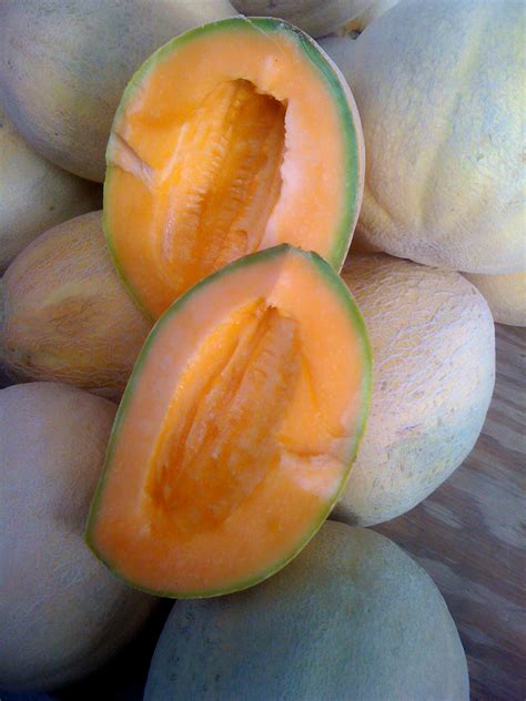 Canonchef: Really Big Melons