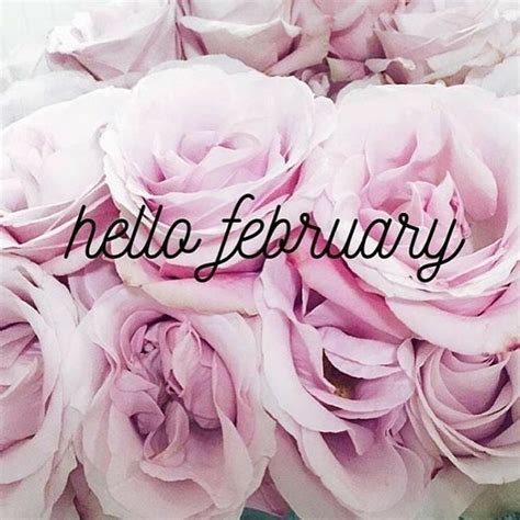 Pin By Lily On Months Of The Year February Wallpaper February Quotes