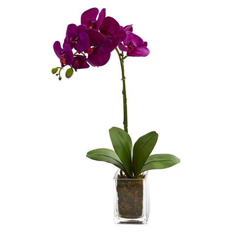 20” Orchid Phalaenopsis Artificial Arrangement In Vase Nearly Natural