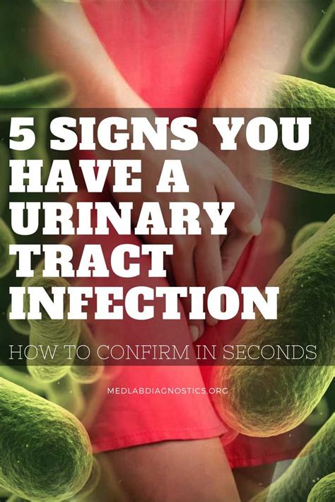 Urinary Tract Infection Signs You Have A Uti Urinary Tract
