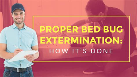 Proper Bed Bug Extermination How Its Done