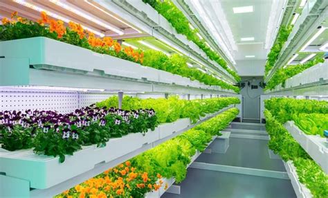 Indoor Farming Market A Smart In Home Garden Of Urban Households