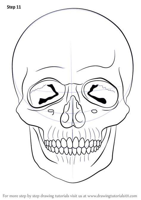 Skull Drawing Drawing Tutorial Step By Step Drawing