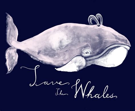 Equality Porpoise And Save The Whales