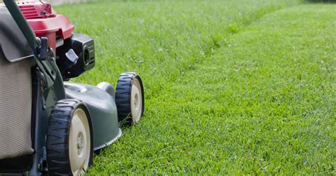 How To Mow Your Lawn