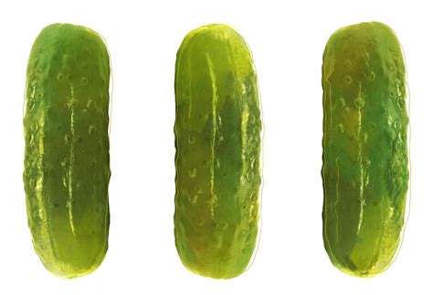 Pickles are vegetables or fruit , sometimes cut into pieces , which have been kept in. Jewish identity in a pickle | The McGill Daily