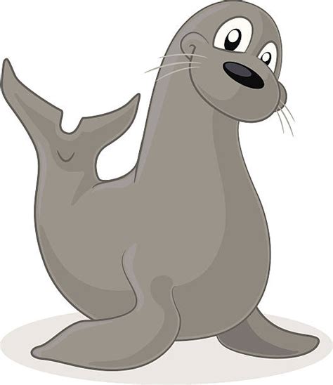 Best Sea Lion Illustrations Royalty Free Vector Graphics