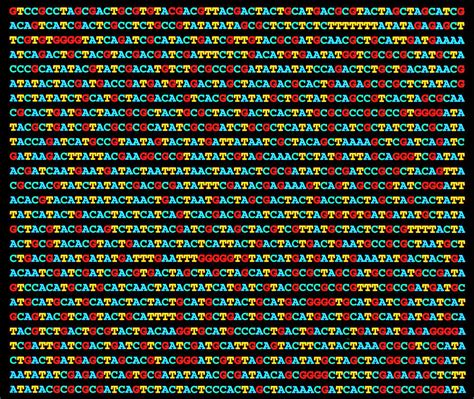 Artwork Of A Nucleotide Sequence Of Dna Photograph By Science Photo