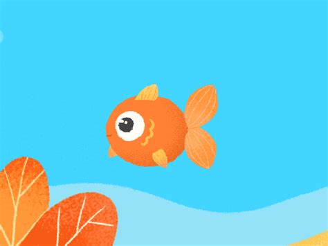 Goldfish By 小梳子 On Dribbble