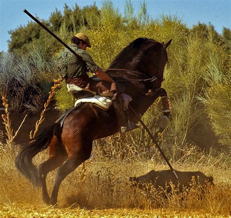 Spear Hunting Pictures