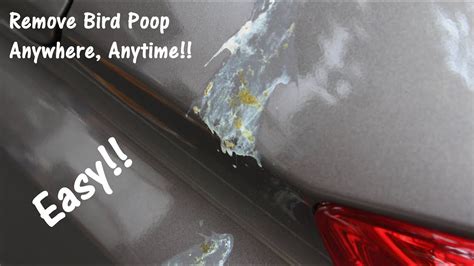 How To Remove Bird Poop On The Car With Less Than 100ml Water Youtube