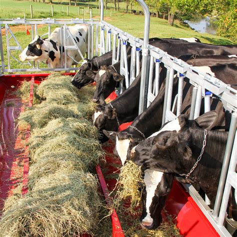 No Waste Hay Feeders For Cattle Farmco Manufacturing