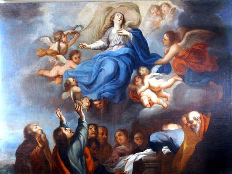 Solemnidad De La Asunción De La Virgen María Parroquia San Alberto