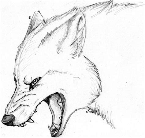 Pics For Angry Wolf Face Drawing