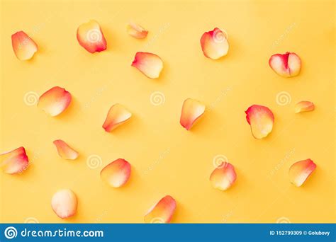 Floral Abstract Background Petals Pattern Orange Stock Image Image Of