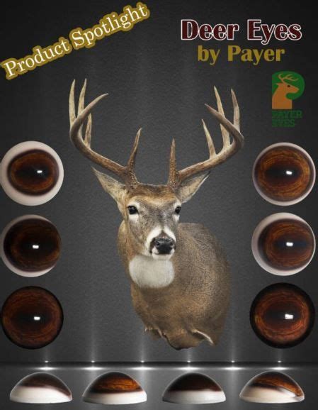 Our shed kits include a floor. Check out the Payer Deer Eyes in Dark Brown or Medium Brown #glasseyestodiefor #MatuskaSupplyCo ...
