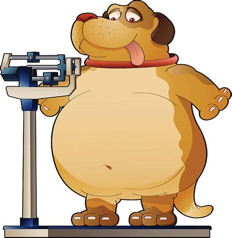 Fat Dog Illustrations Royalty Free Vector Graphics And Clip Art Istock
