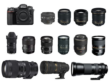 Best Lenses For Nikon D500 Camera News At Cameraegg