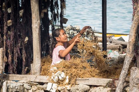 Irin Can Seaweed Farming Save Indonesian Fishermen