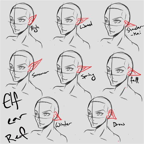 Elf Ear Reference Reference Ear Drawing Clipartmag Ears Growrishub