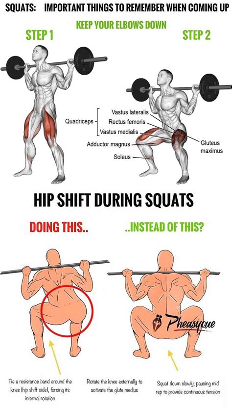 🚨barbell Squat How To Do Proper Form Fitness