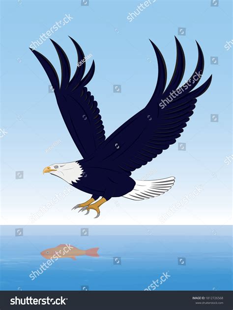 Flying Eagle Bald Eagle Catching Fish Stockvector Rechtenvrij