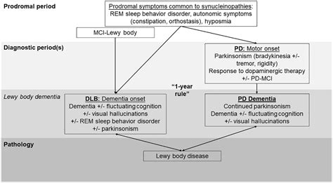 Advances In Dementia With Lewy Bodies Melissa J Armstrong 2021