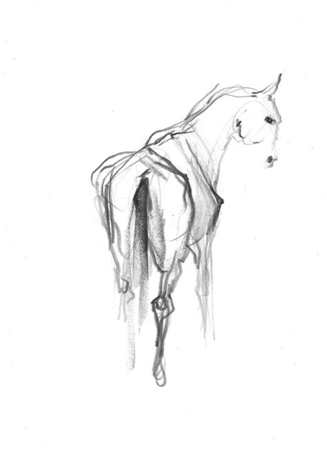 Horse Drawing By Marta Wojtuszek Saatchi Art
