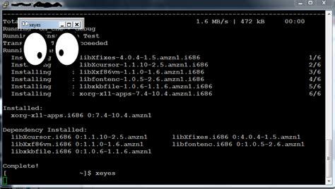 Remote X11 Gui For Linuxunix Red Wire Services