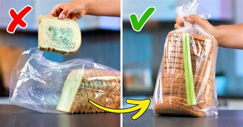 7 Tricks You Can Use To Keep Food Fresh For Longer 5 Minute Crafts
