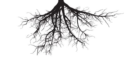 Black Tree Roots Png Afro Roots Svg Queen Clipart African American