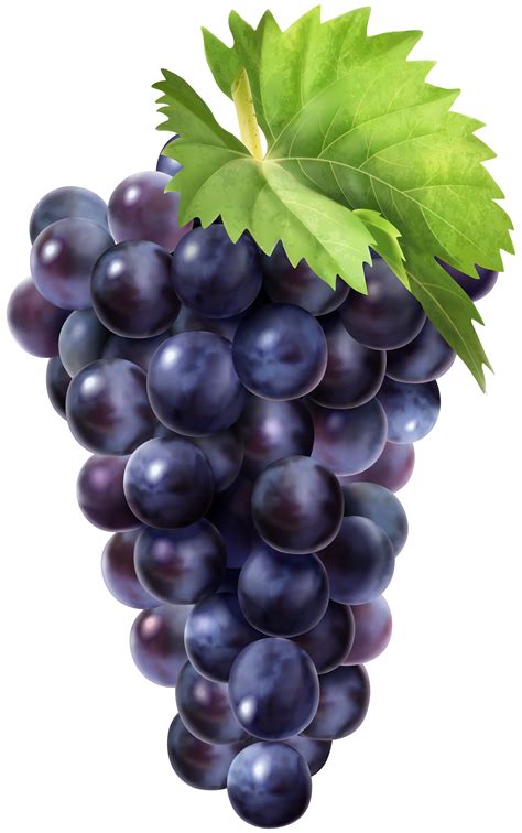 Grape Clipart High Quality Grape High Quality Transparent Free For