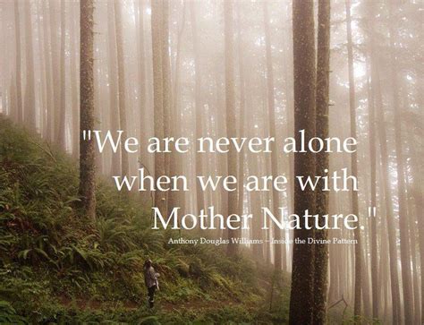 The Mist Caresses Your Soul Mother Nature Quotes Nature Quotes