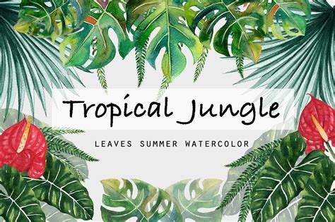Tropical Jungle Leaves- Summertime | Custom-Designed Illustrations ~ Creative Market