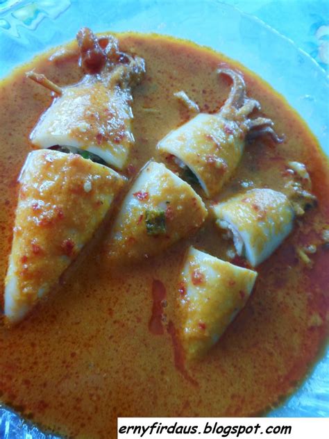 Resepi sotong/ ini menyediakan pelbagai resepi sotong dengan rasa yang sedap , dengan kaedah memasak yang sangat ringkas dan mudah untuk di cuba sendiri di rumah untuk hidangan keluarga anda. TERU TERU BOZU: Resipi: Sotong Sumbat Masak Sambal