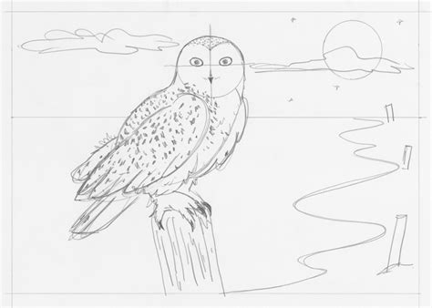 Simple Snowy Owl Drawing