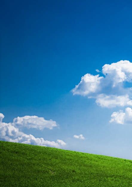 Premium Photo Green Field And Blue Sky With Clouds Beautiful Meadow