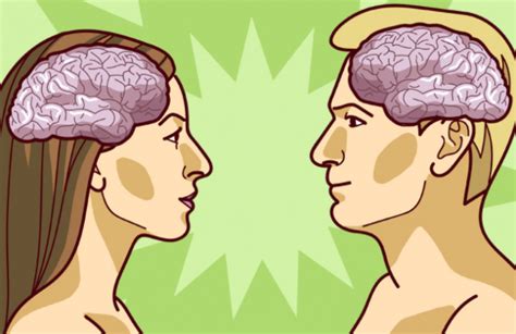 Diferencias Entre Los Cerebros De Hombres Y Mujeres Formato Siete