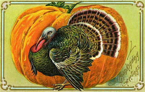 Vintage Thanksgiving Card Painting By American School Fine Art America