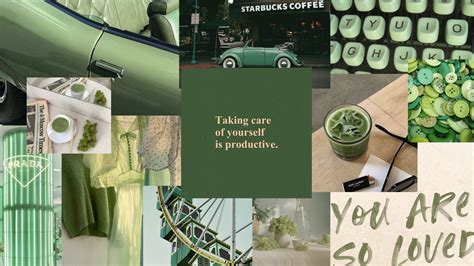 200 Sage Green Aesthetic Wallpapers