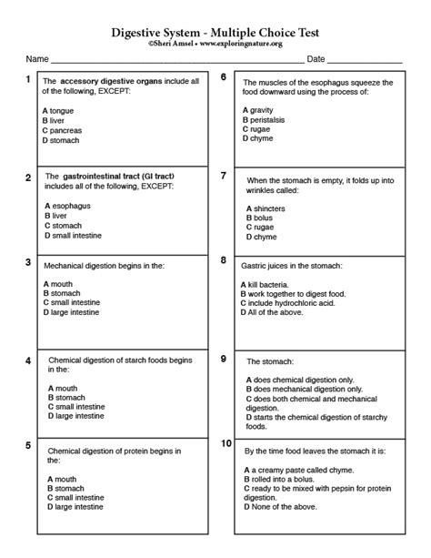 Digestive System Test Questions And Answers